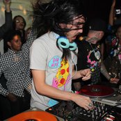 Steve Aoki - List pictures