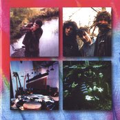 Ozric Tentacles - List pictures