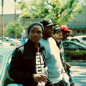 Tiron - List pictures