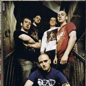 Ingested - List pictures