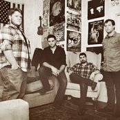 Butchers Blind - List pictures