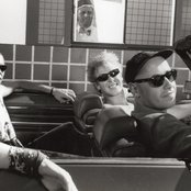 Terrorgruppe - List pictures