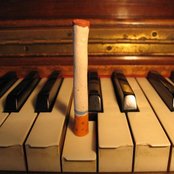 Jeremy Fisher - List pictures