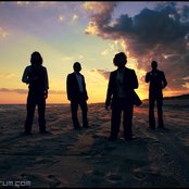 As Tall As Lions - List pictures