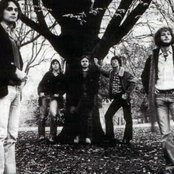 Isopoda - List pictures