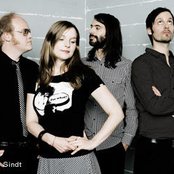 Wir Sind Helden - List pictures