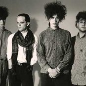 Caifanes - List pictures