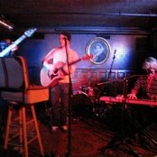 Dinosaur Feathers - List pictures