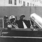 The D.o.c. - List pictures