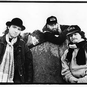 King Missile - List pictures