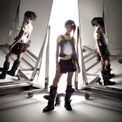 Willow - List pictures