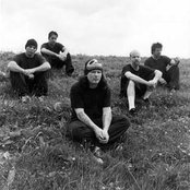 Stone Sour - List pictures