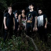 Like Moths To Flames - List pictures