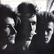 U2 - List pictures
