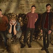 Glass Animals - List pictures