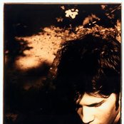 Ed Harcourt - List pictures