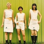 Chicks On Speed - List pictures