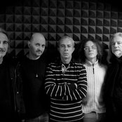 Goblin Rebirth - List pictures