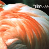 Slim - List pictures