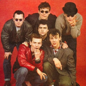 Madness - List pictures