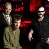 The Head Cat - List pictures