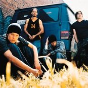 Puddle Of Mudd - List pictures