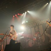 White Ash - List pictures