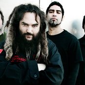 Soulfly - List pictures