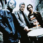 Fold Zandura - List pictures