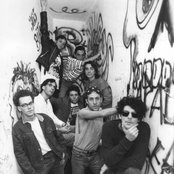 Titas - List pictures