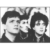 Icicle Works - List pictures