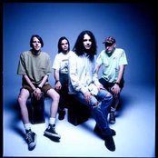 Posies - List pictures