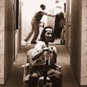 Adrian Belew - List pictures