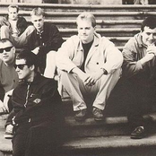 The Farm Inc. - List pictures