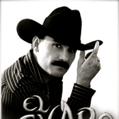 El Chapo De Sinaloa - List pictures