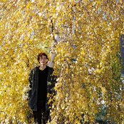 Erlend Øye - List pictures