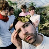 Foals - List pictures