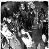 No Dice - List pictures