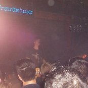 Year Of The Rabbit - List pictures