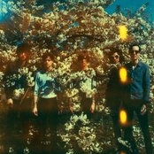 The Horrors - List pictures