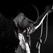 Shining - List pictures