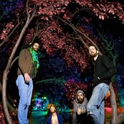 This Will Destroy You - List pictures