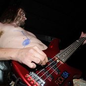 Agathocles - List pictures