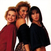 Flans - List pictures