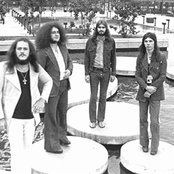 Hydra - List pictures