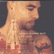 Jacques Schwarz-bart - List pictures