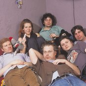 New Pornographers - List pictures