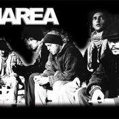 Marea - List pictures