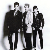 Stray Cats - List pictures