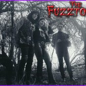 The Fuzztones - List pictures